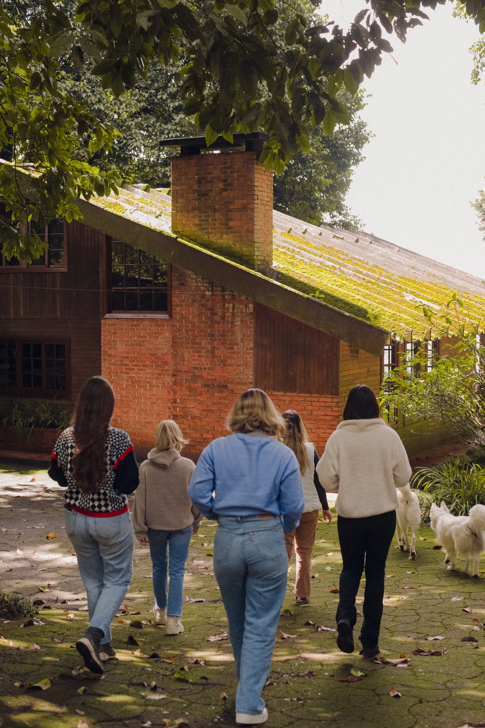 Un grupo de amigas camina hacia una cabaña de Cloud House